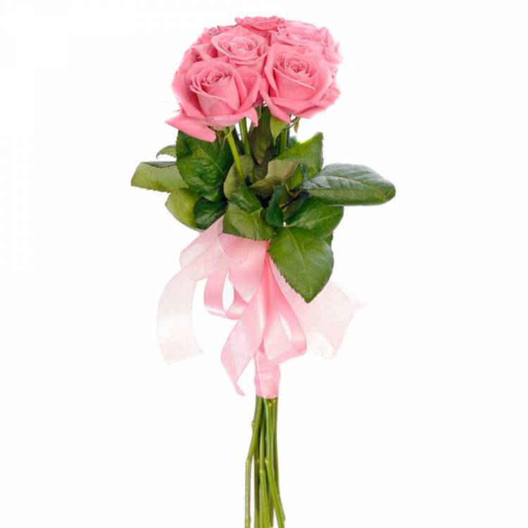 7 элитных розовых роз 7 элитных розовых роз